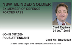 blinded soldier pass