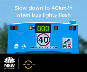 CRS118 Buses mrec 300x250 V1 STATIC